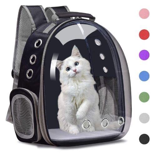 Best Projection Alarm Clocks 2025 | PitBase Reviews