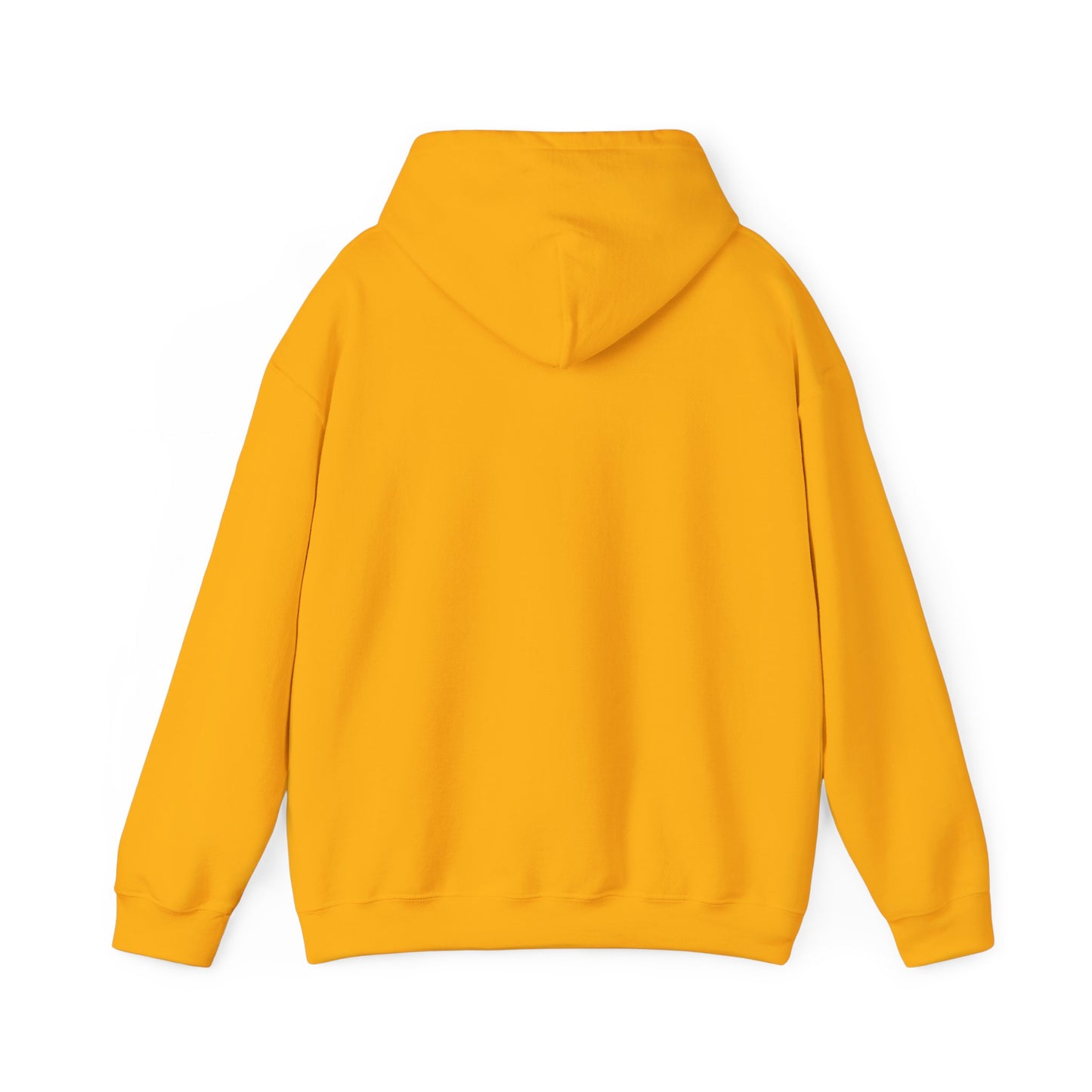 SW Jewel — Unisex Heavy Blend Hoodie (G18500)