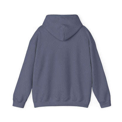 SW Jewel — Unisex Heavy Blend Hoodie (G18500)