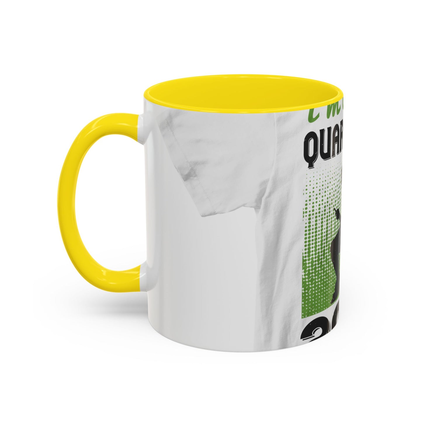 i'm on self quarantine 2020 — Accent Mug 11/15oz