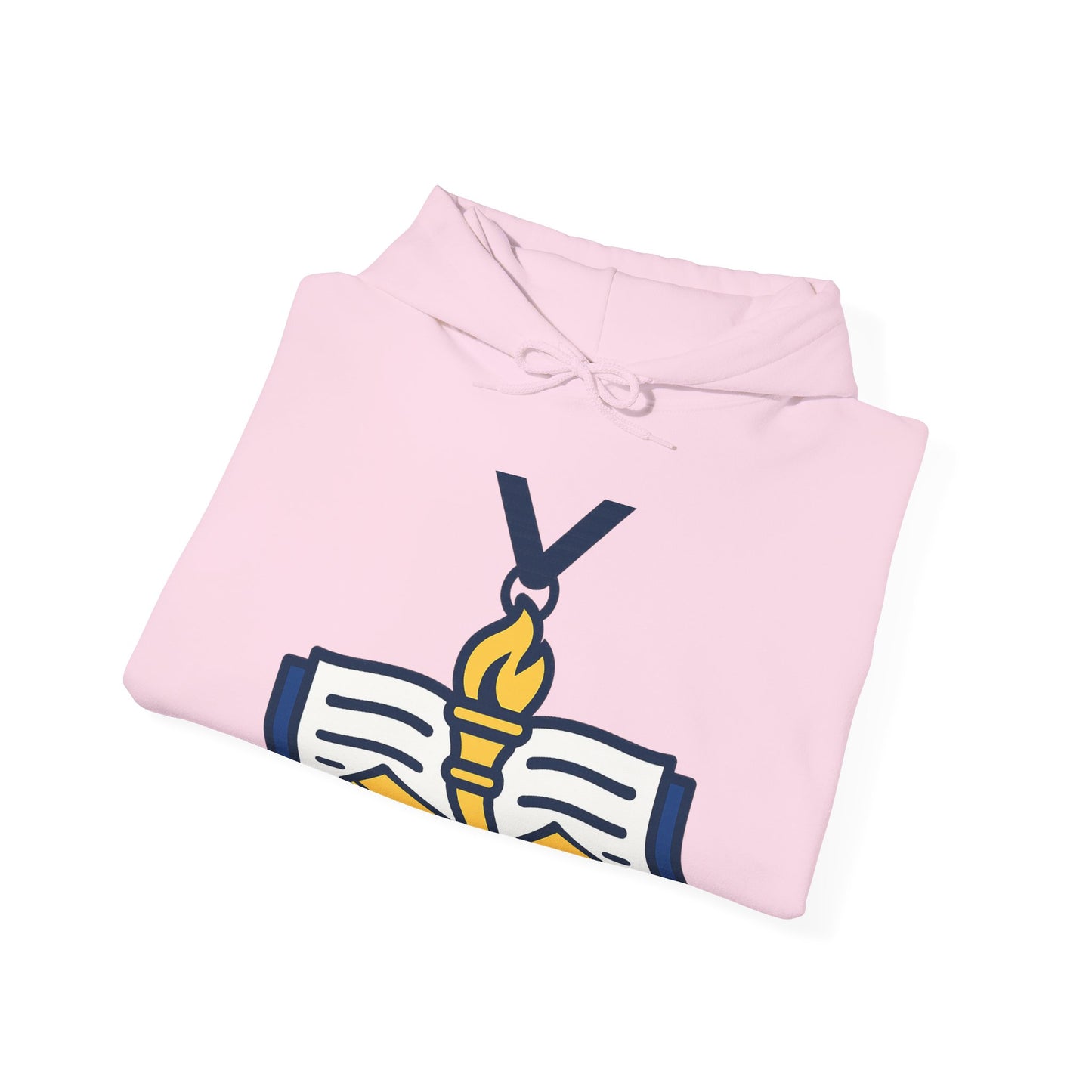 Education Officer - Lecturer - Instructor — Unisex Heavy Blend Hoodie (G18500)