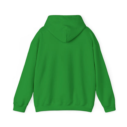 SW Jewel — Unisex Heavy Blend Hoodie (G18500)
