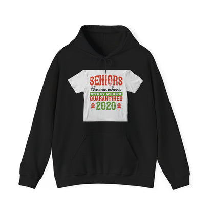 seniors the one where they were quarantined 2020 — Unisex Heavy Blend Hoodie (G18500)