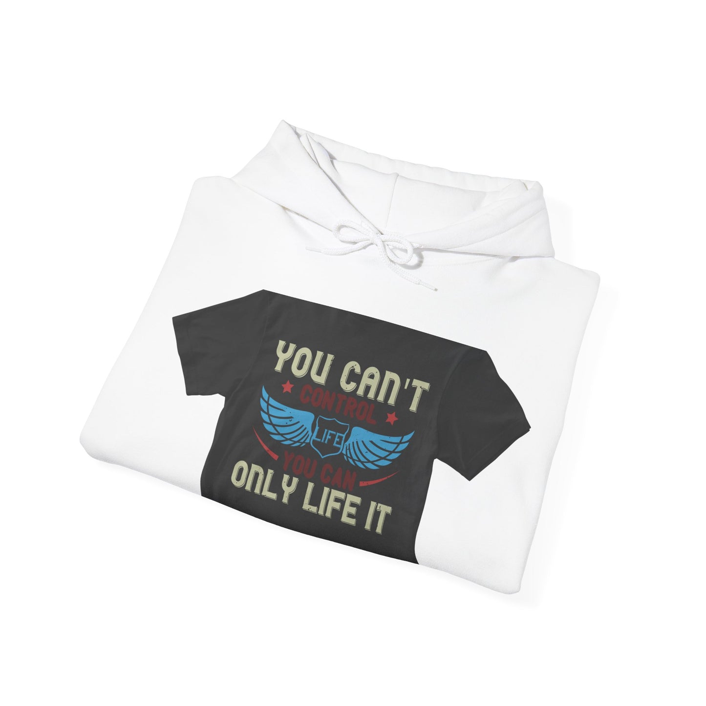 you can't control life you can only life it — Unisex Heavy Blend Hoodie (G18500)