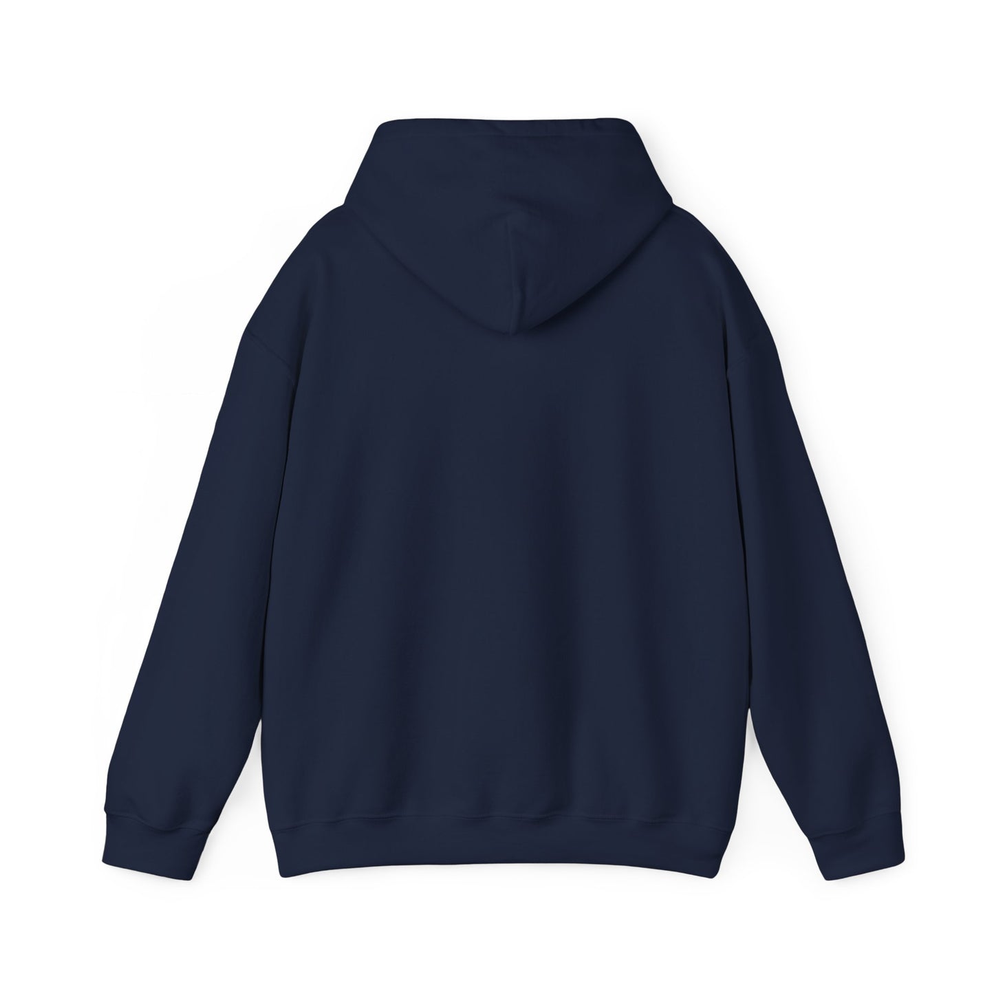 SW Jewel — Unisex Heavy Blend Hoodie (G18500)