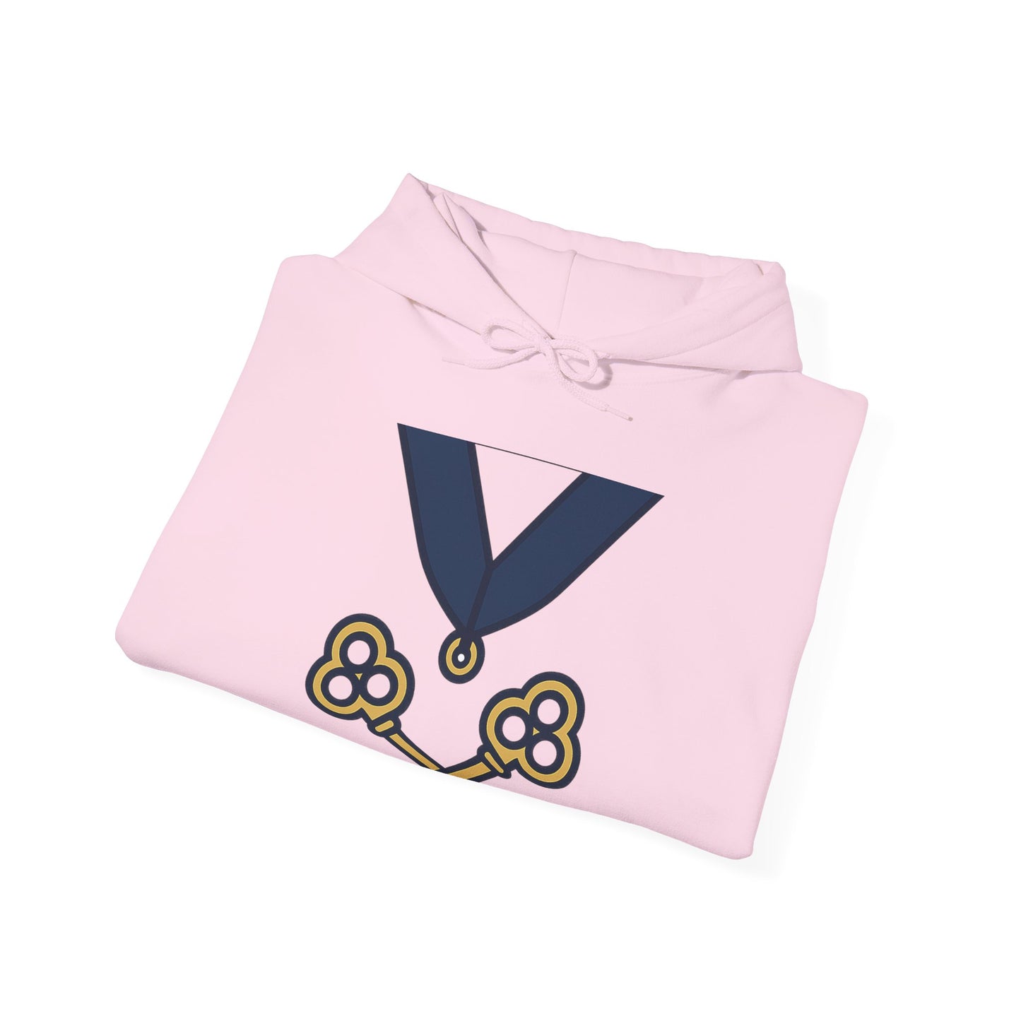 Treasurer — Unisex Heavy Blend Hoodie (G18500)