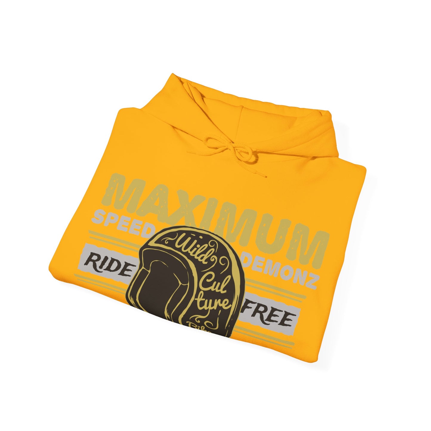 Motorcycle 2 (69) — Unisex Heavy Blend Hoodie (G18500)