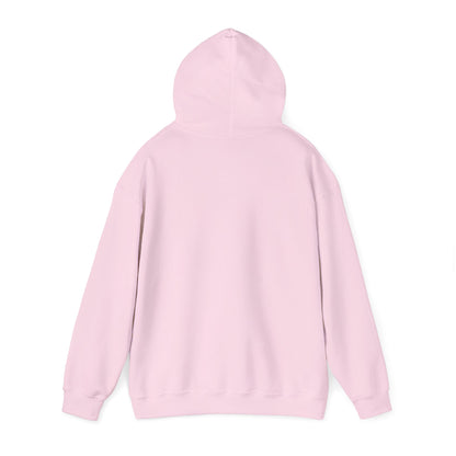 SW Jewel — Unisex Heavy Blend Hoodie (G18500)