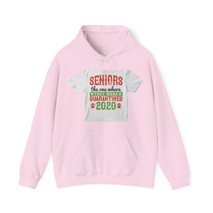 seniors the one where they were quarantined 2020 — Unisex Heavy Blend Hoodie (G18500)