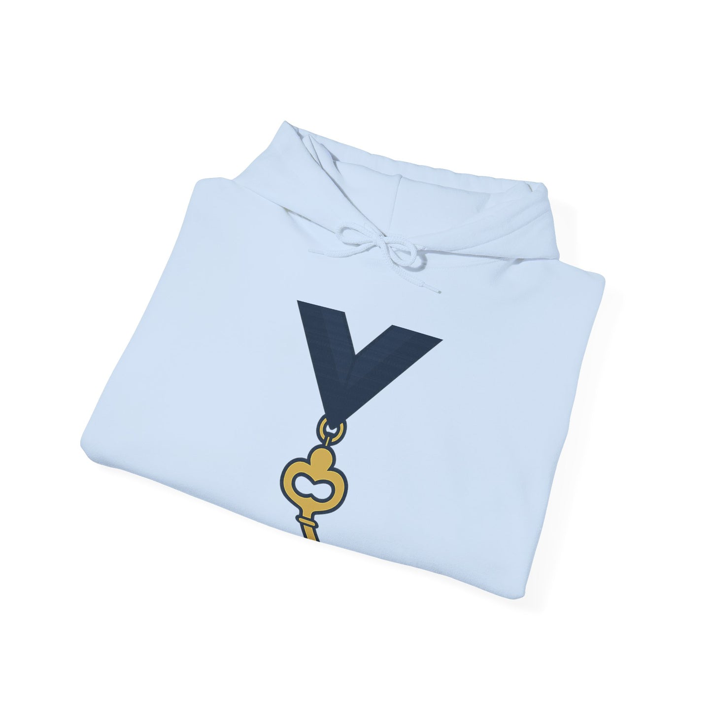 Assistant Treasurer — Unisex Heavy Blend Hoodie (G18500)