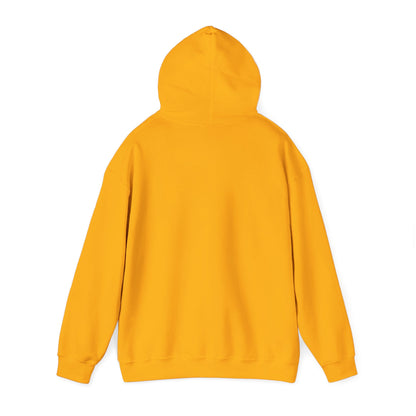 SW Jewel — Unisex Heavy Blend Hoodie (G18500)