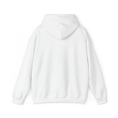 SW Jewel — Unisex Heavy Blend Hoodie (G18500)