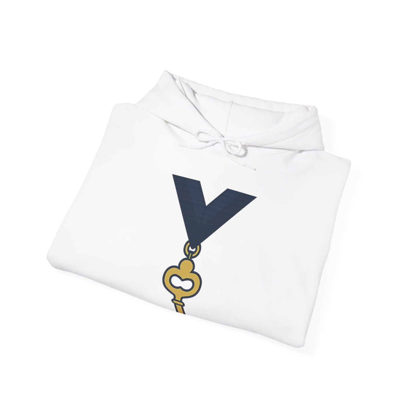 Assistant Treasurer — Unisex Heavy Blend Hoodie (G18500)