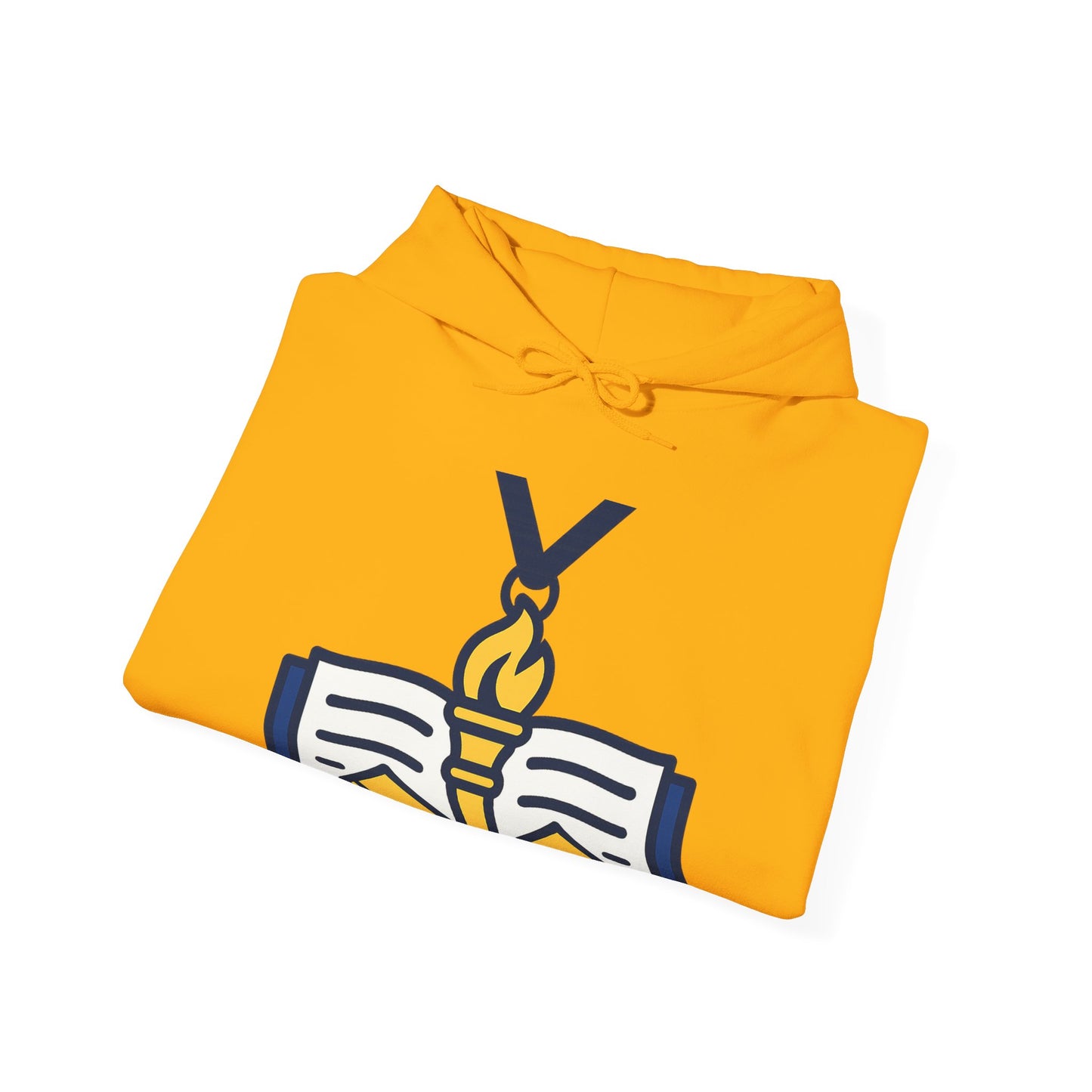 Education Officer - Lecturer - Instructor — Unisex Heavy Blend Hoodie (G18500)