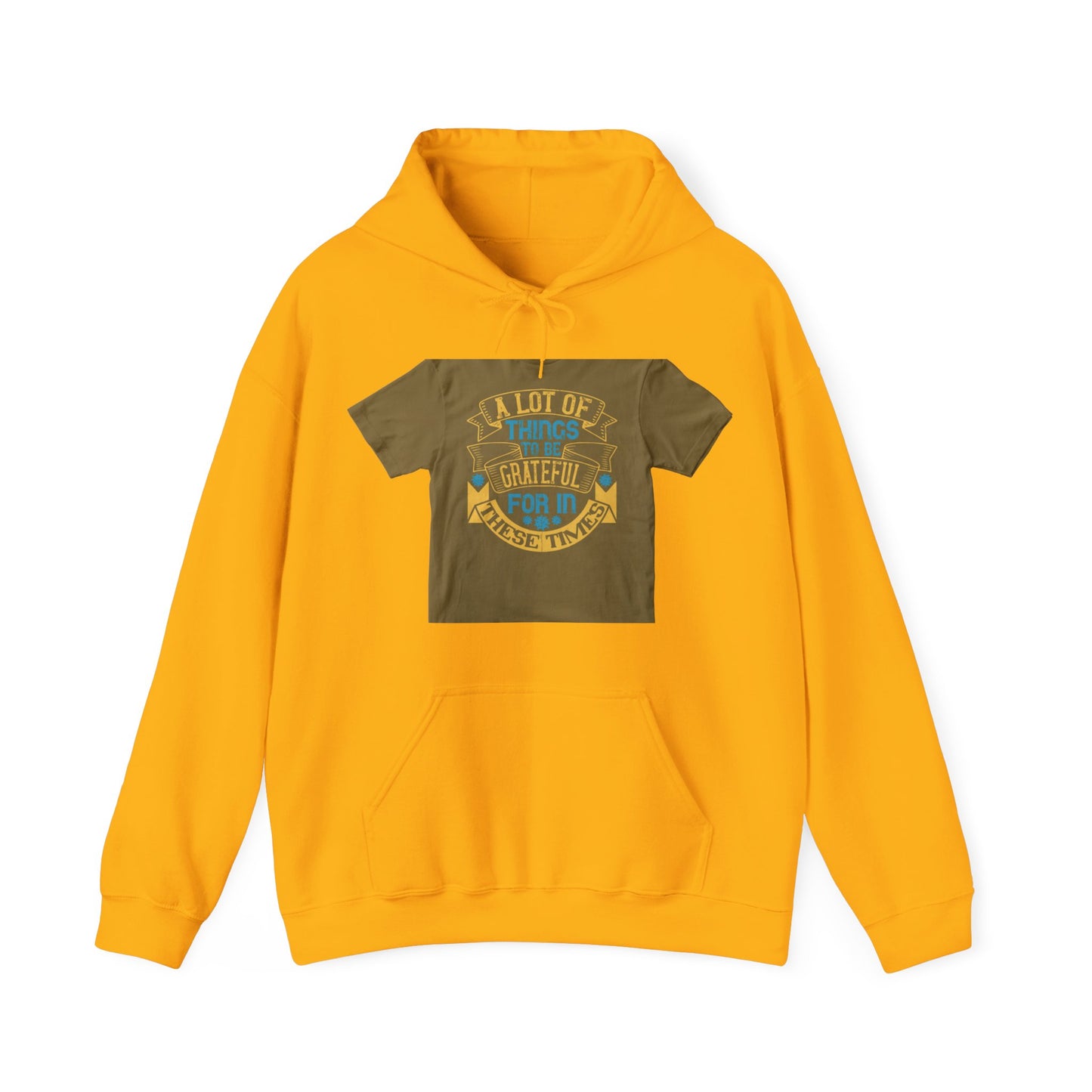 A lot of things to be grateful for in these times — Unisex Heavy Blend Hoodie (G18500)