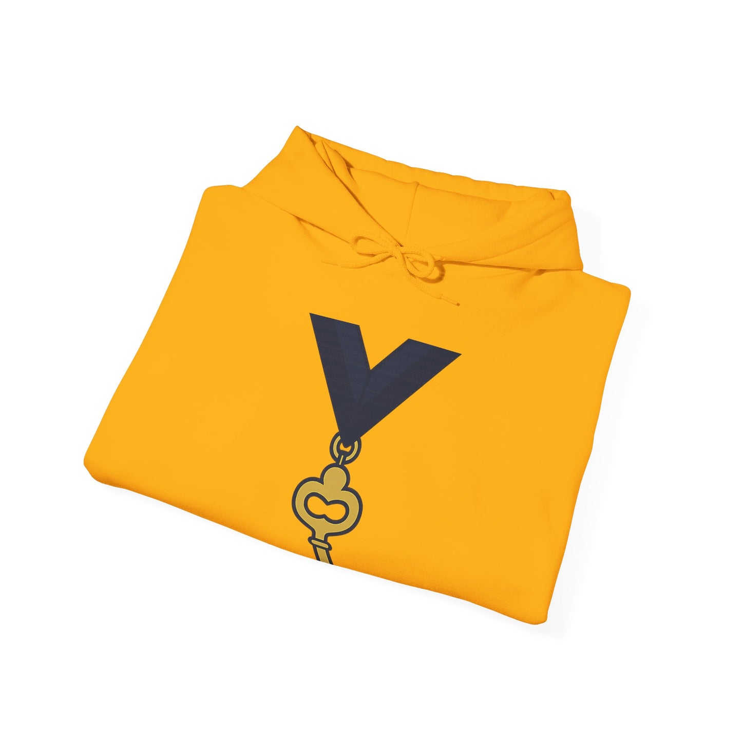 Assistant Treasurer — Unisex Heavy Blend Hoodie (G18500)