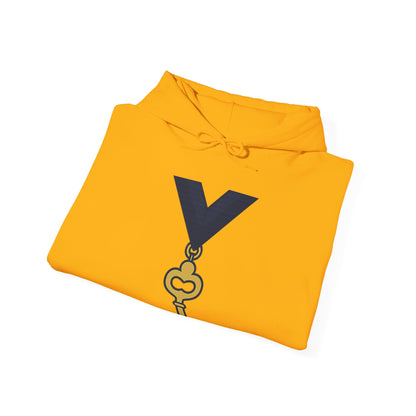 Assistant Treasurer — Unisex Heavy Blend Hoodie (G18500)