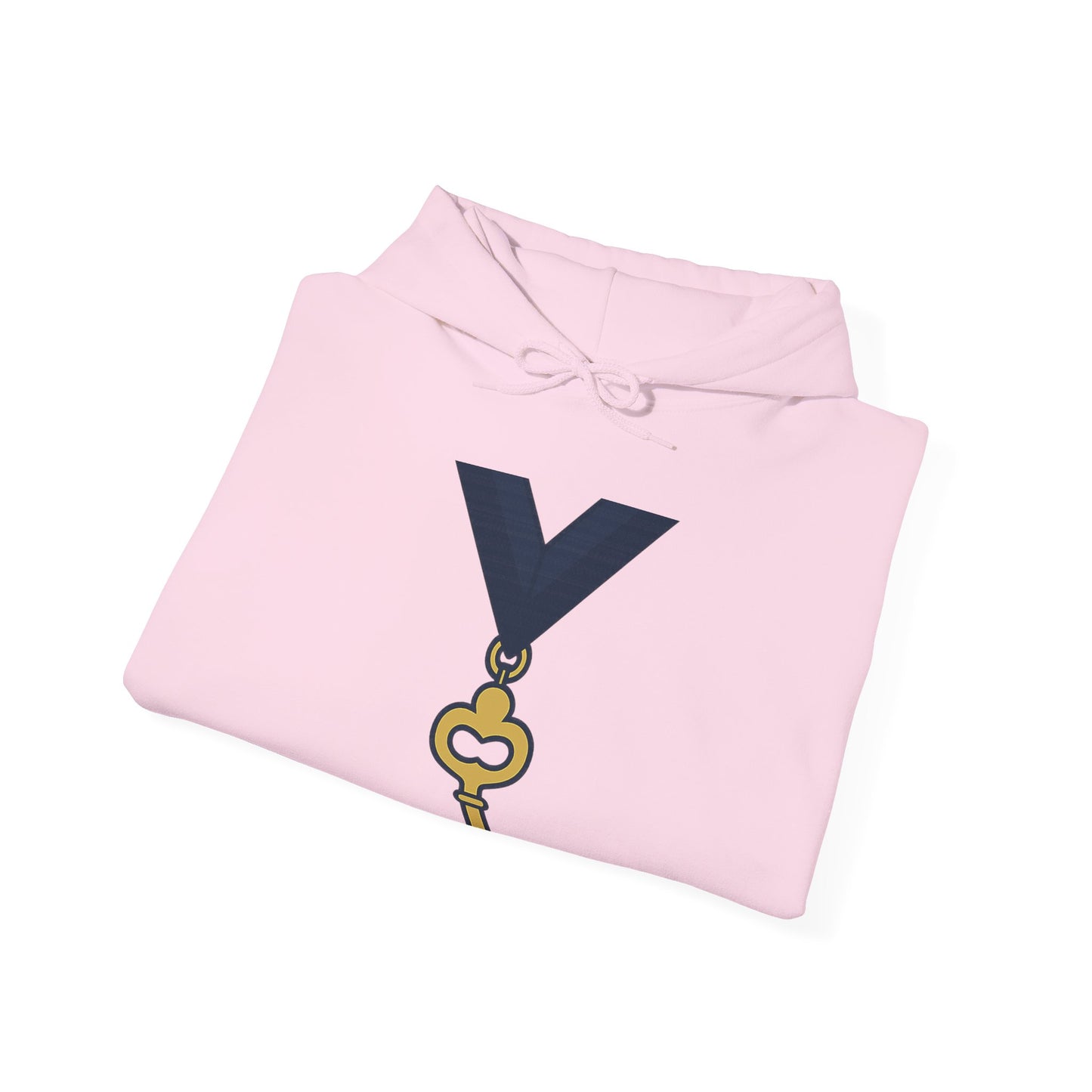 Assistant Treasurer — Unisex Heavy Blend Hoodie (G18500)