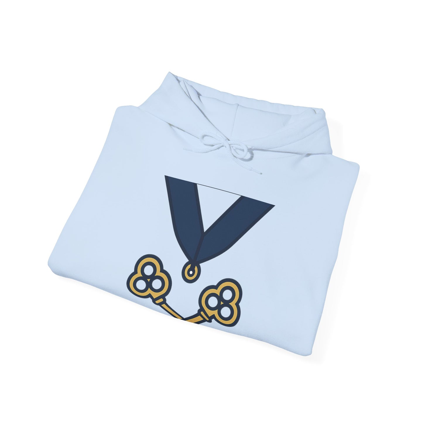 Treasurer — Unisex Heavy Blend Hoodie (G18500)